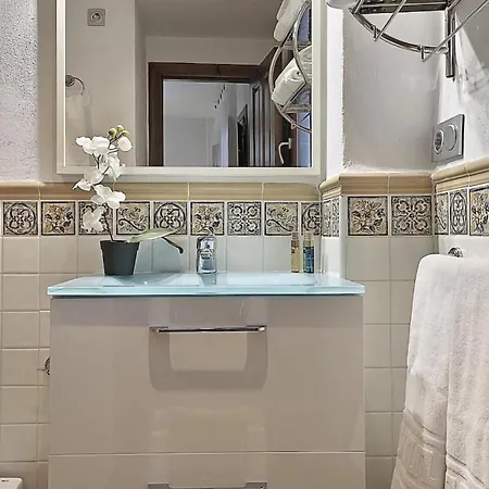 Gatu A Pies De La Alhambra 2b *