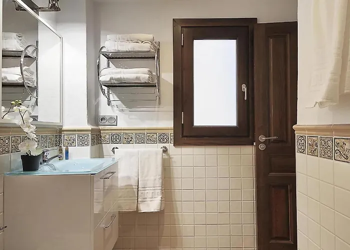 Gatu A Pies De La Alhambra 2b *